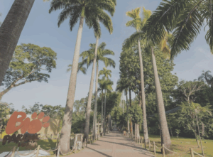 BioParque do Rio participa do 7º Festival Museu Nacional Vive com exposição educativa 